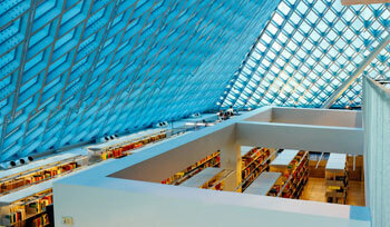 Professional Painting Services